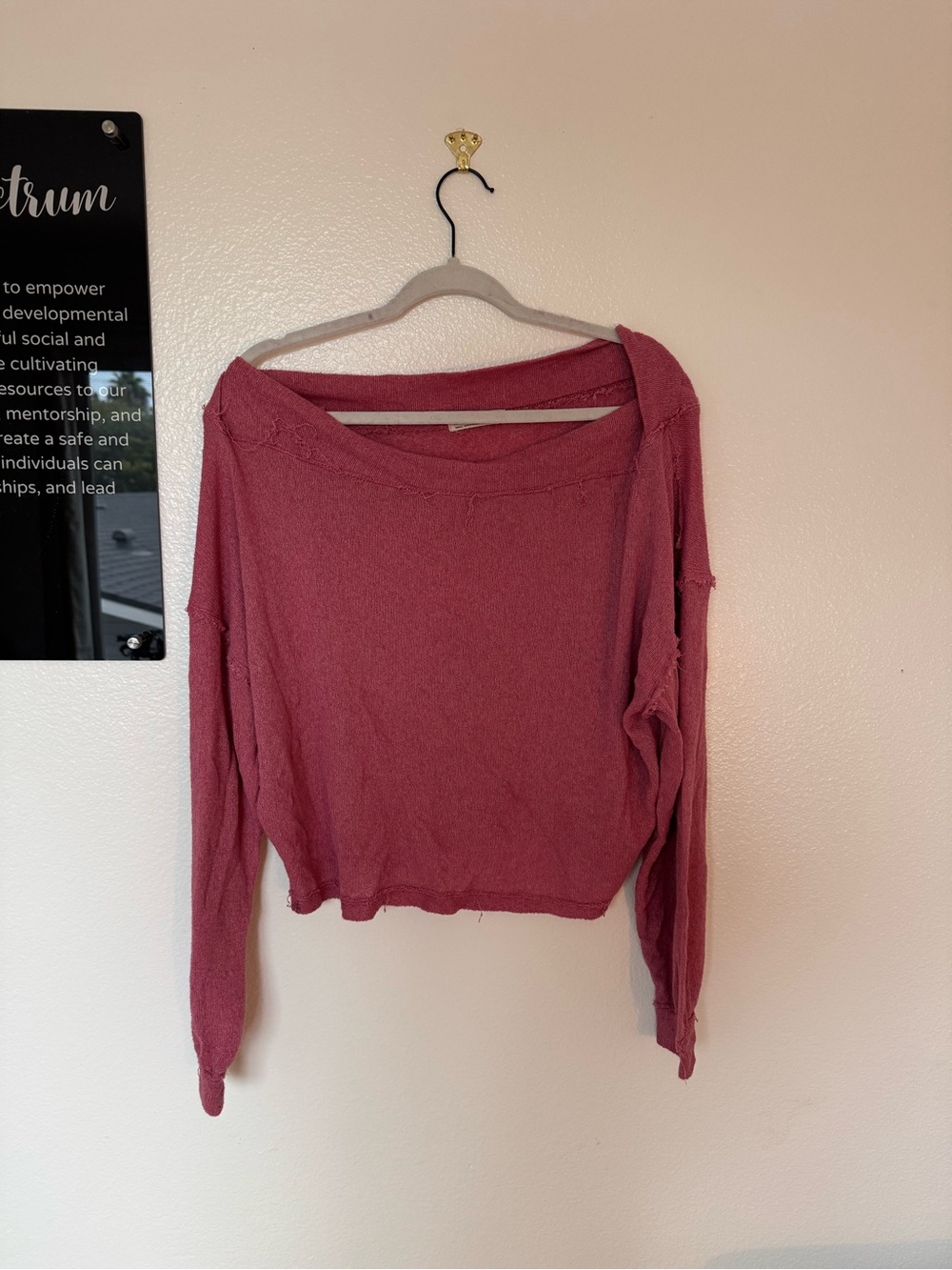 we the free oversized top